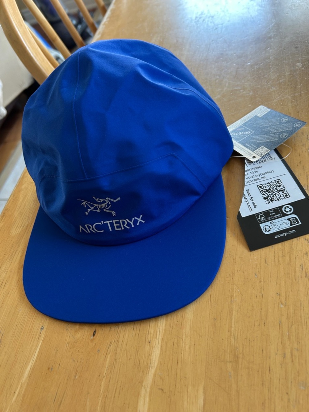 Arc'teryx Gore 5 Panel Cap